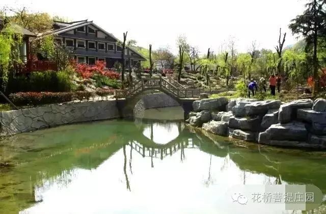 這個(gè)周末，隴南康縣花橋有大事要發(fā)生？