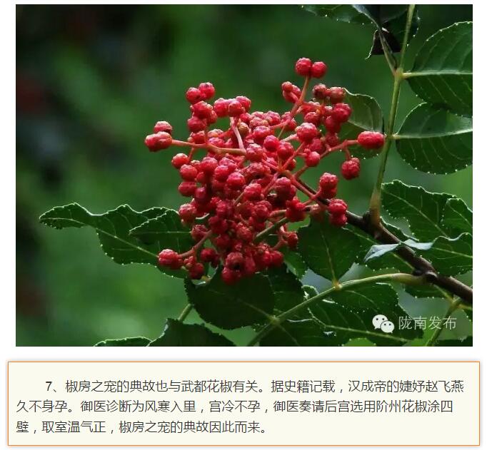 蘭渝鐵路最早由孫中山先生提出？在隴南，你不知道的事兒還有……