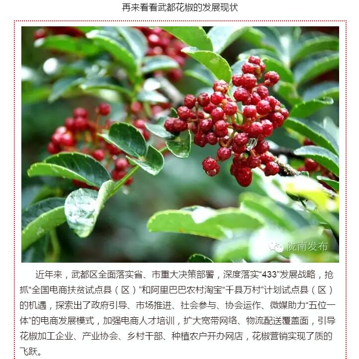 5.28億！一場(chǎng)盛會(huì)，武都花椒“火”了