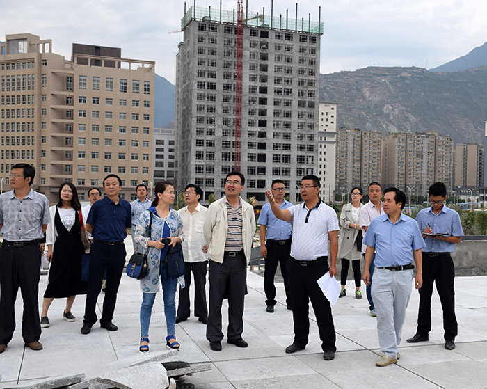 省、市聯(lián)合工作組蒞臨階州廣場檢查指導(dǎo)工作