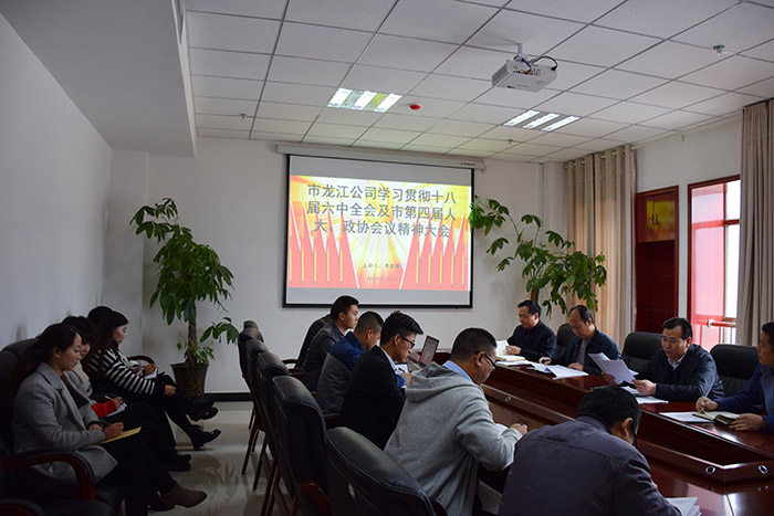 市龍江公司召開全體員工大會，專題傳達(dá)學(xué)習(xí)上級會議精神