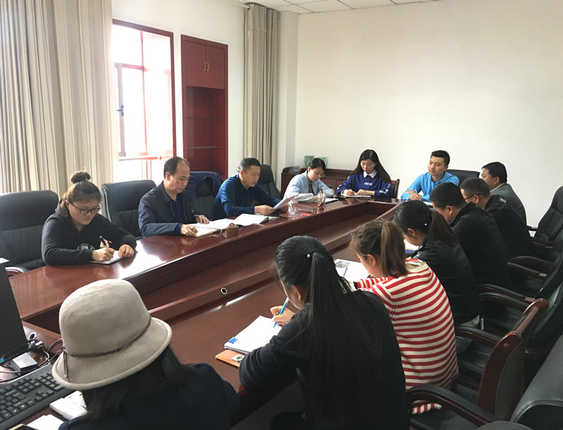 市龍江城鄉(xiāng)發(fā)展集團(tuán)專題學(xué)習(xí)近期中央、省、市紀(jì)律檢查委員會(huì)議精神