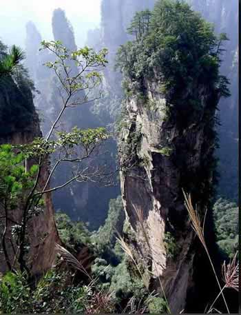 長(zhǎng)沙出發(fā)到張家界溶洞奇觀黃龍洞、國(guó)家森林公園、袁家界、峰林之王天子山三日游（早班）